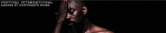 Festival Danses et Continents Noirs 1 Centre Choregraphique James Carles