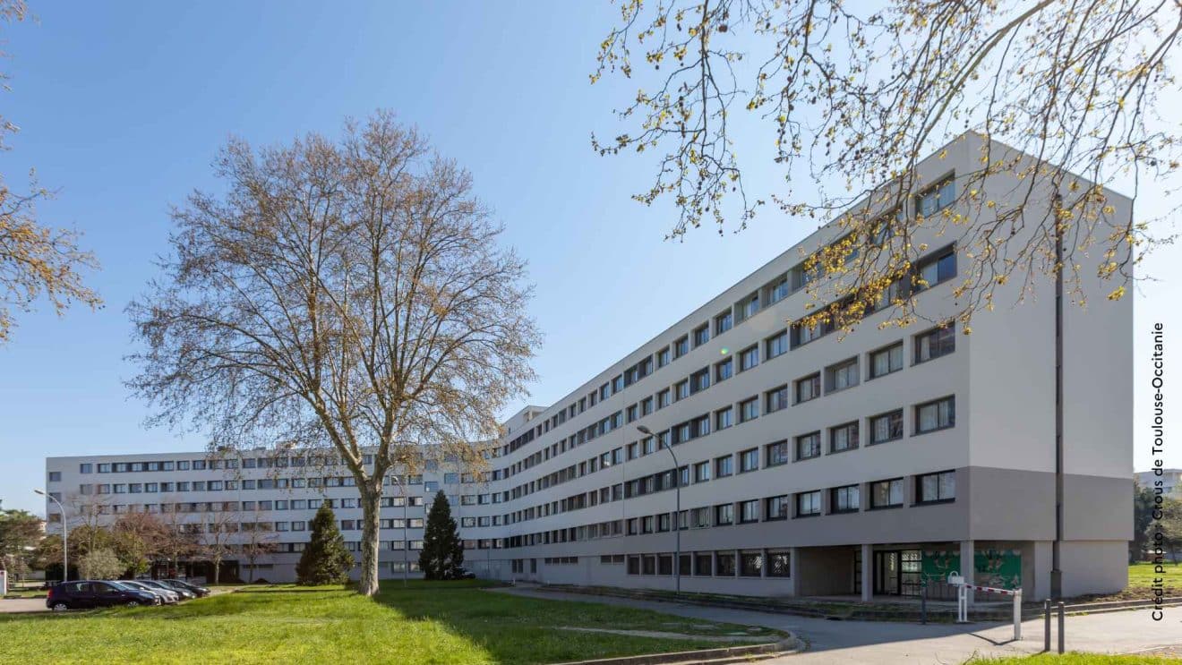 The bigger picture: Can Toulouse’s economy handle the influx? The bigger picture: Can Toulouse’s economy handle the influx?