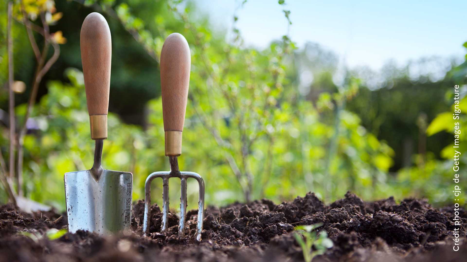 jardin partagé