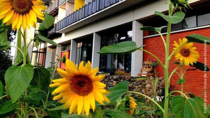 Les jardins partagés de Daniel Faucher : reconnaissance et récolte des plantes aromatiques 1 jardins partagés