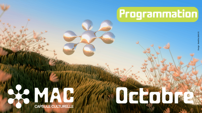 Capture decran 2025 10 02 111657