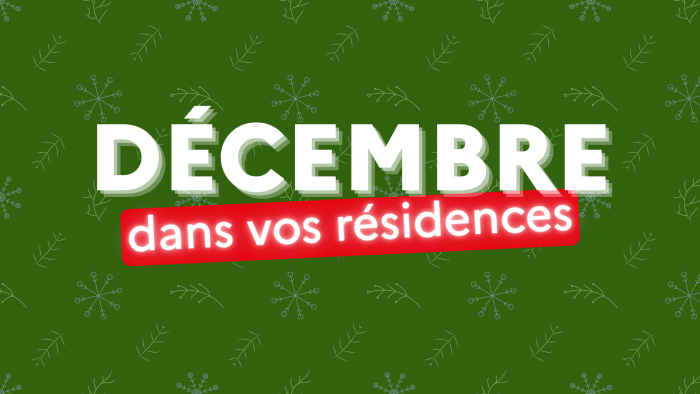 animations decembre actu