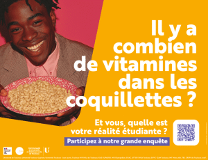 940x720 tisseo enquete SAVE